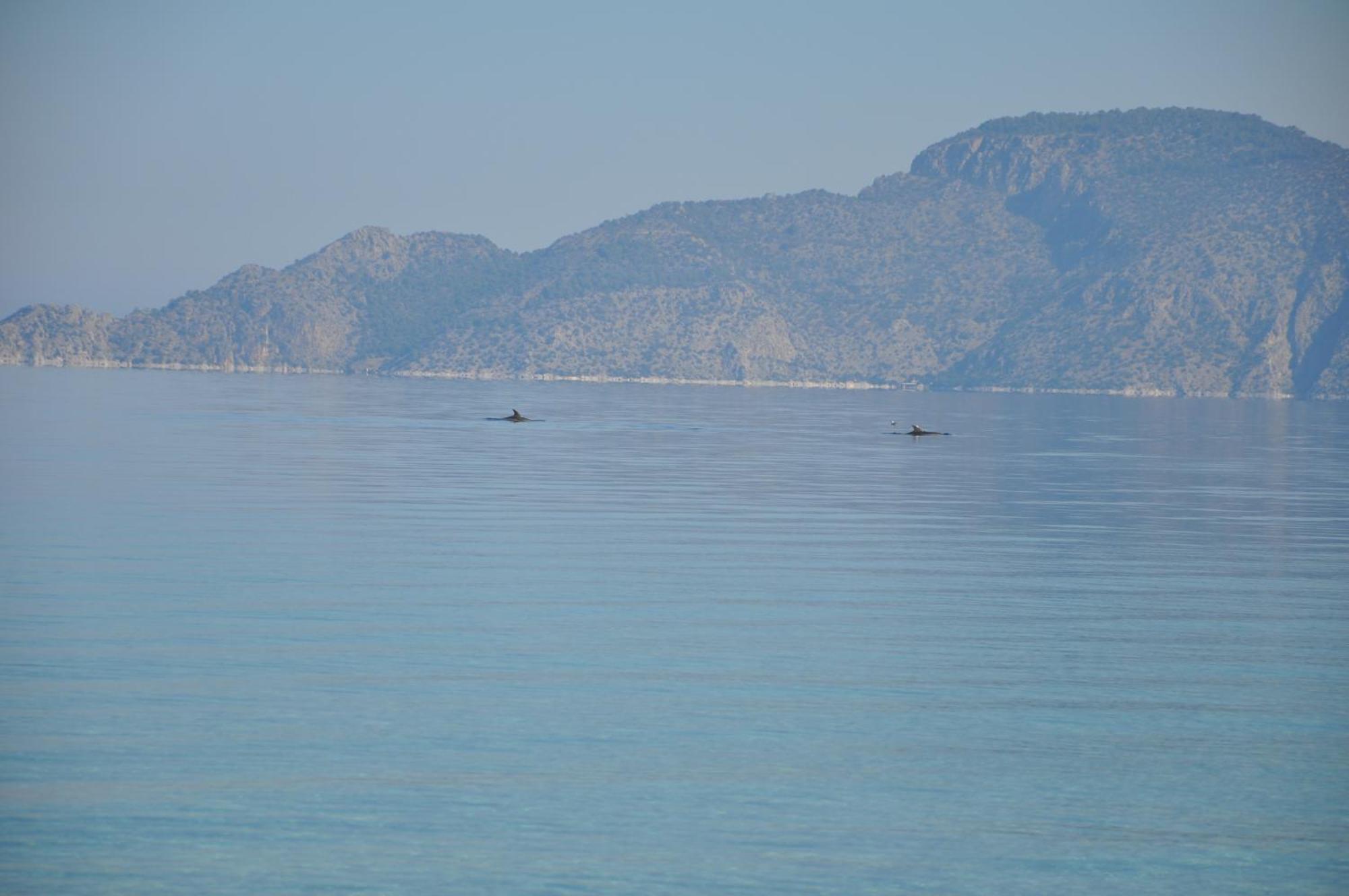 Villa In Kalloni Direkt Am Meer, Tolle Aussicht エクステリア 写真